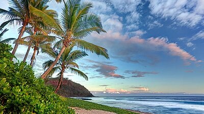 Rhenus ouvre un bureau à La Réunion